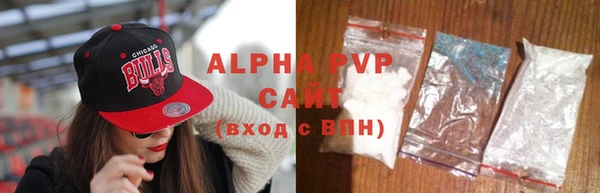 крисы Абаза
