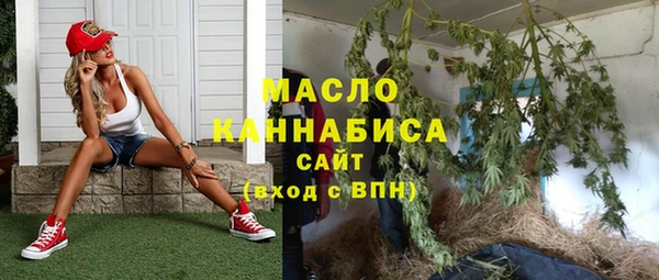 крисы Абаза