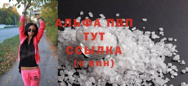 крисы Абаза
