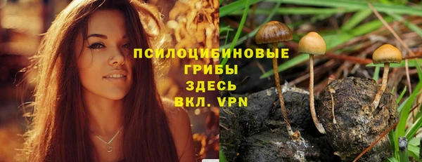 дурь Алексин
