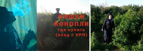 дживик Ростов